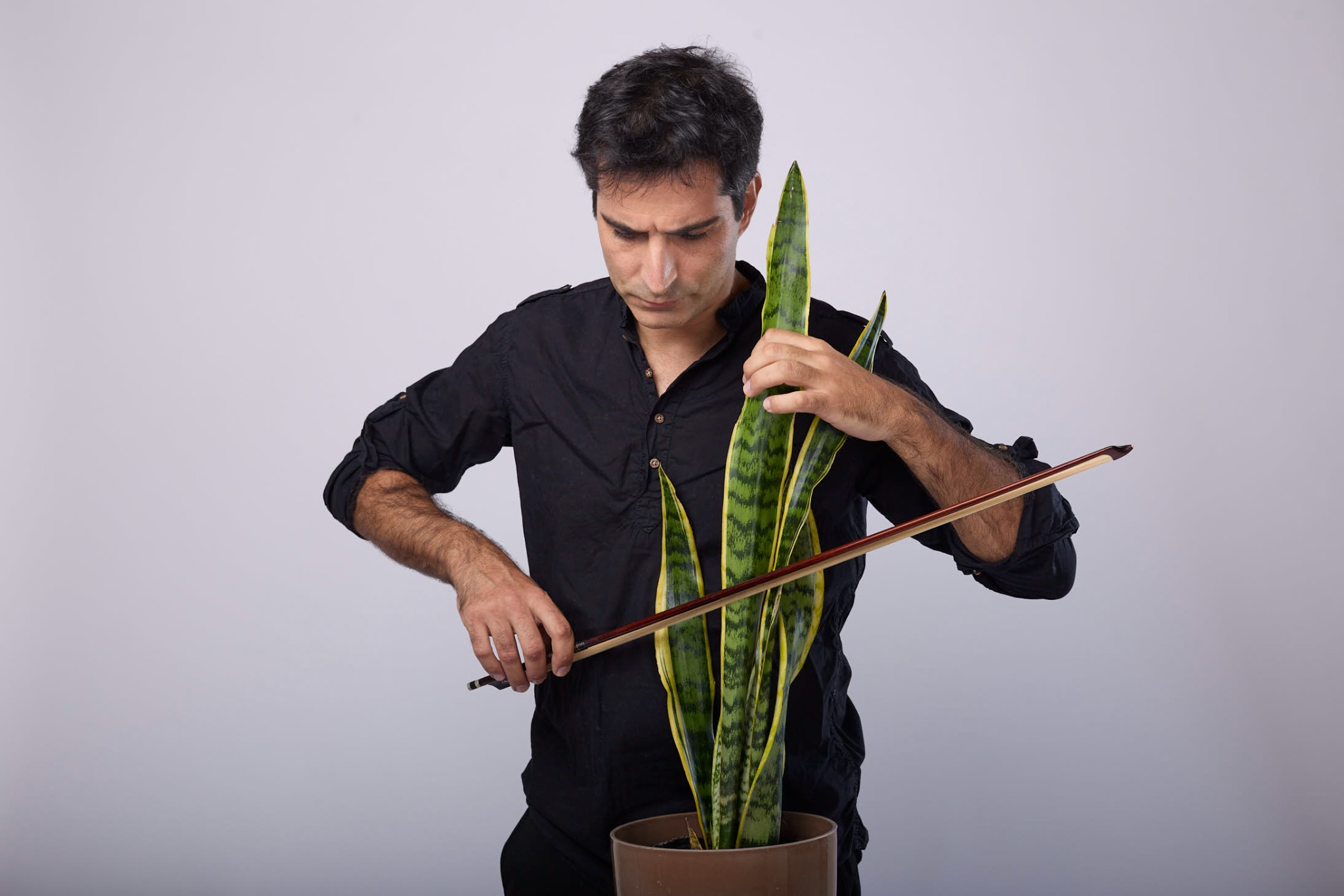 Pablo Jivotovschii con una planta y un arco de violín